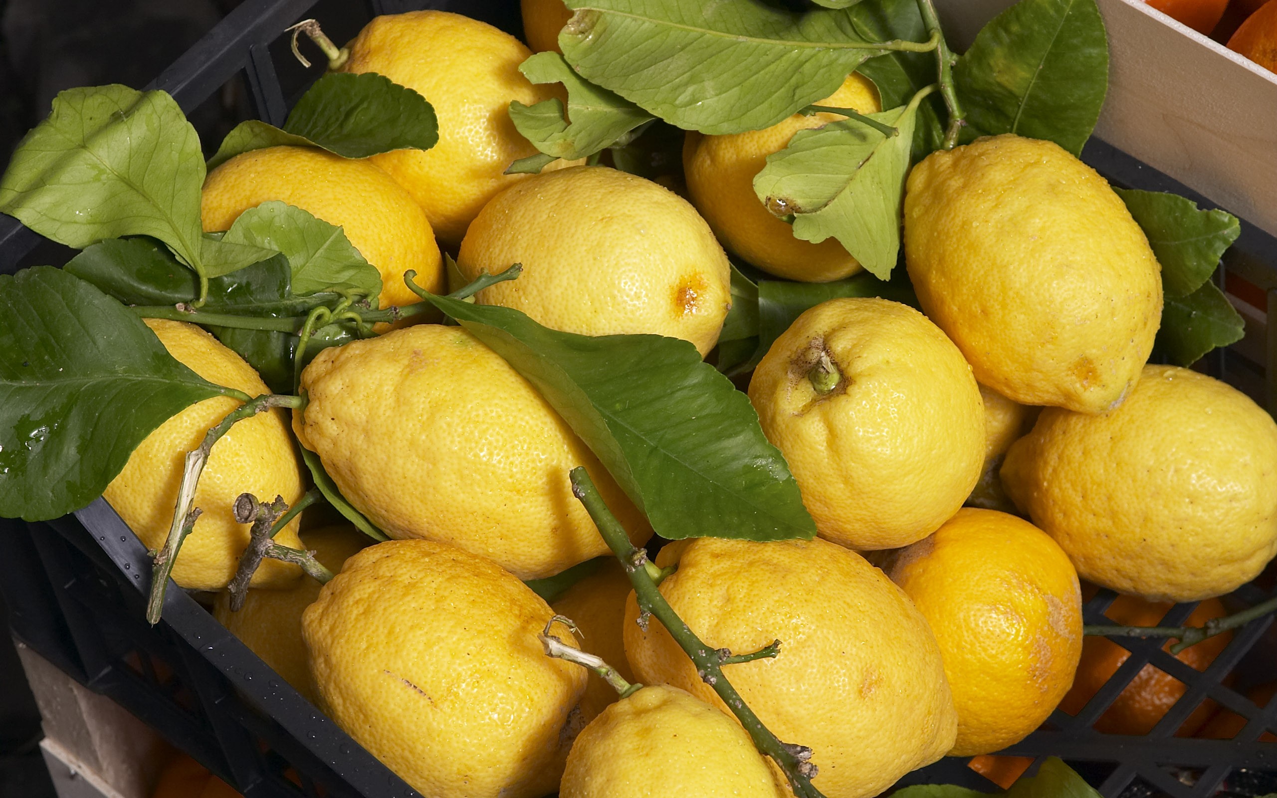 الليمون معالج فعال لبشرتك