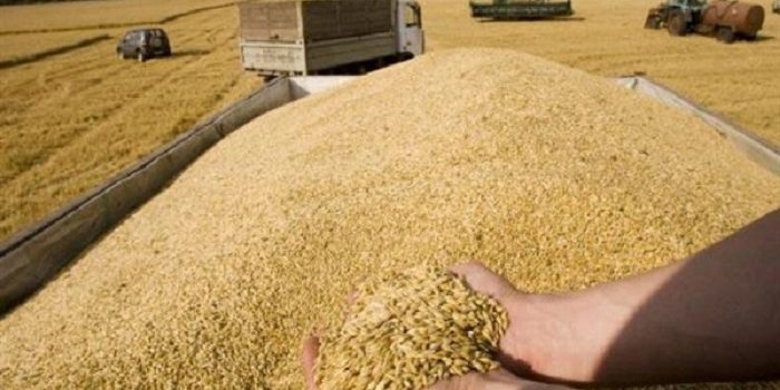 اختيار سورية مركزاً لتصدير القمح الروسي