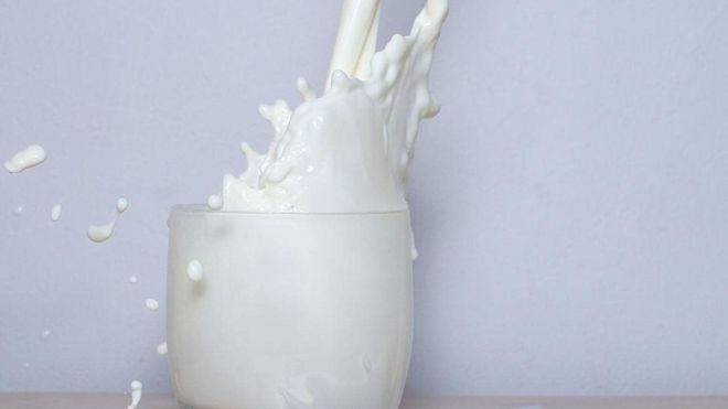 هل يسهم تناول الحليب في تقوية العظام حقا؟