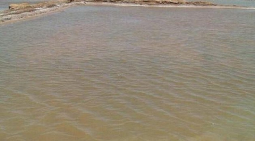 سبخة تدمر تعود للإنتاج بأكثر من عشرة آلاف طن ملح سنويا