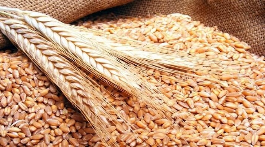 سورية .. مناقصة عالمية لشراء القمح الروسي