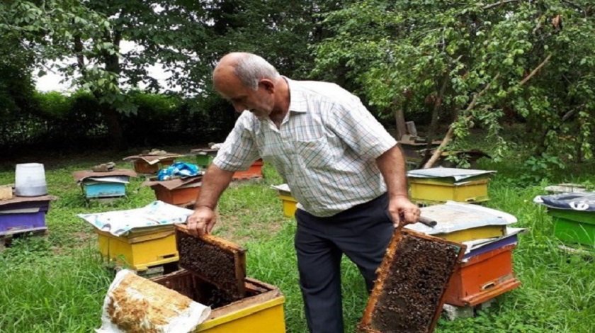 سر أنواع العسل في إيران