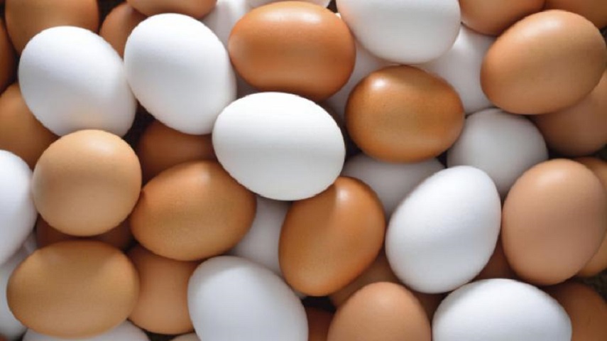 ماذا تعرف عن حساسية البيض