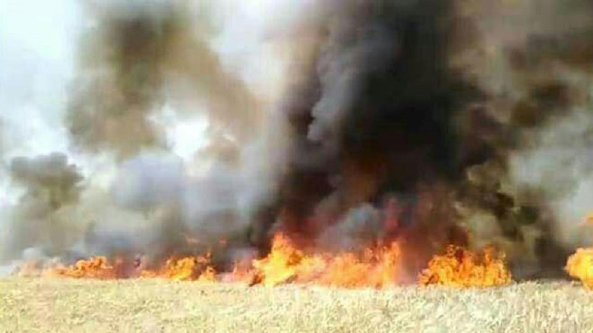إخماد 19 حريقاً في درعا 