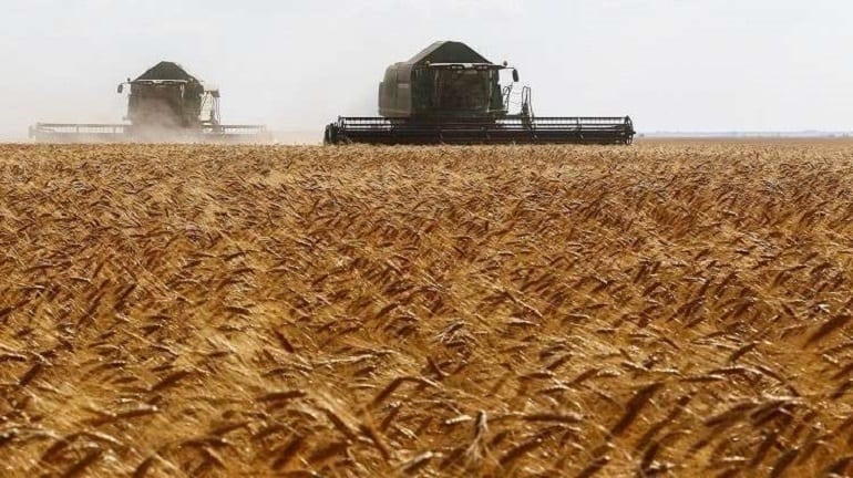 الحبوب توضح مصير كميات القمح المُسدد ثمنها بالسعر السابق