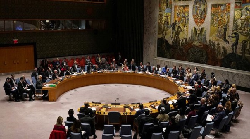 مجلس الأمن يصوت ضد قرار إيصال المساعدات الإنسانية إلى سورية