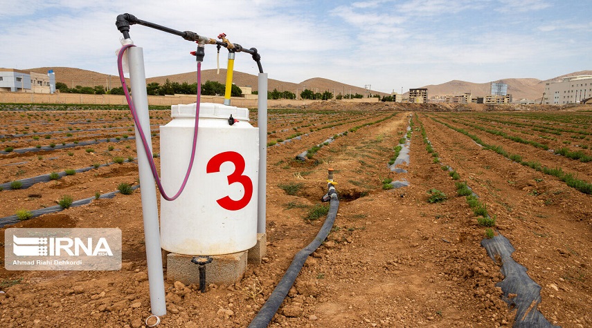 مزرعة نموذجية للأعشاب الطبية في شهركرد 