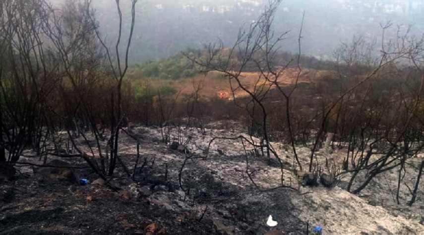 إخماد حريق حراجي في وادي النضارة بريف حمص الغربي 