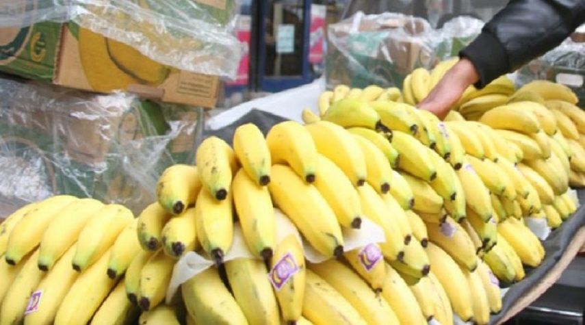 "الاقتصاد" تسمح باستيراد الموز اللبناني لمدة 6 أشهر