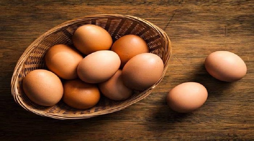 لجنة مربي الدواجن: التهريب سبب ارتفاع أسعار البيض