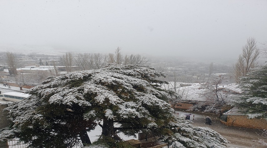 تساقط الثلوج في ريف جبلة وريف دمشق