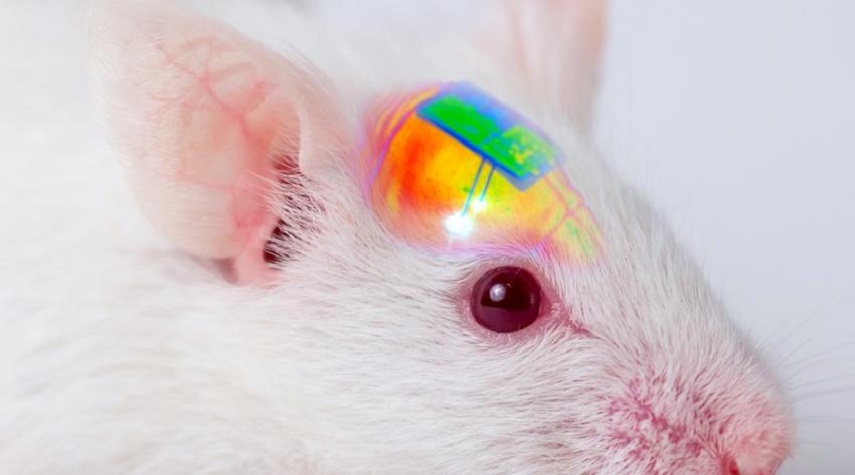 رقاقات دماغية عالية التقنية يمكنها التحكم في خلايا المخ والمزاج