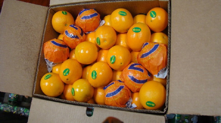 مصري يصدر البرتقال لـ 57 دولة