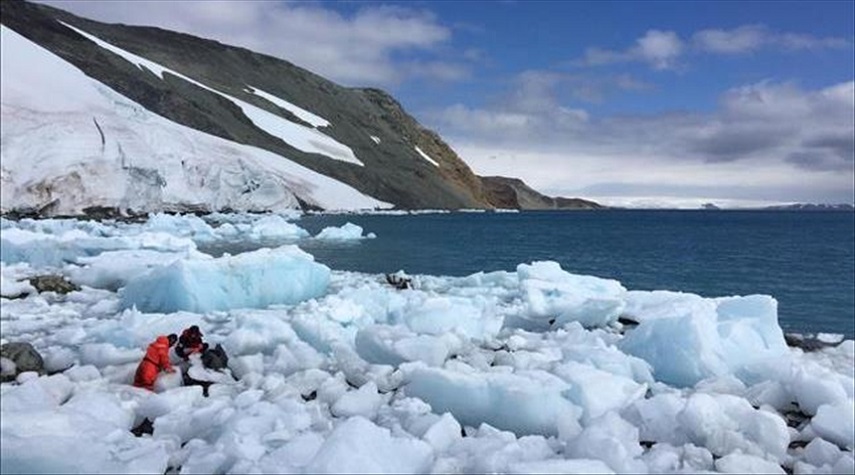 علماء يحذرون: معدل ذوبان الجليد في القطب الجنوبي مخيف