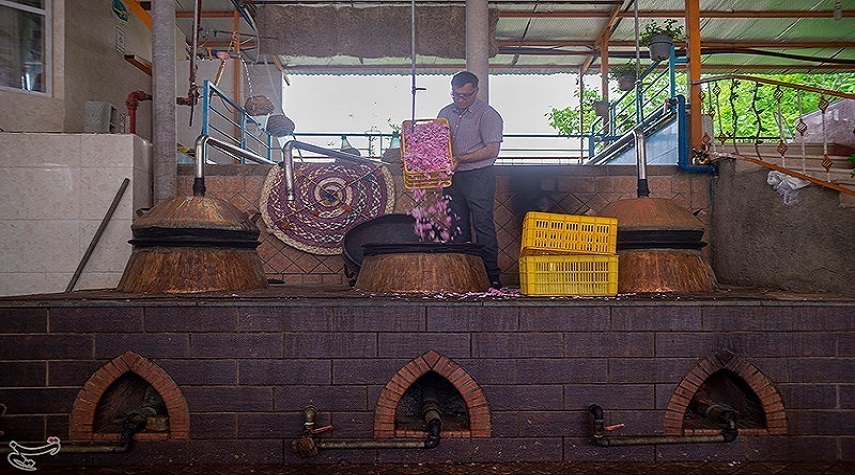 تقطير الورد في ميمند بمحافظة فارس وسط إيران