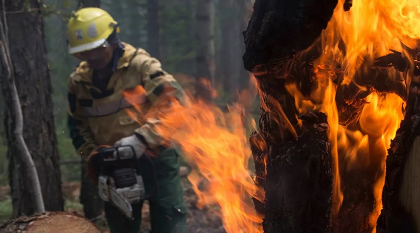 إخماد حرائق في غابات روسيا