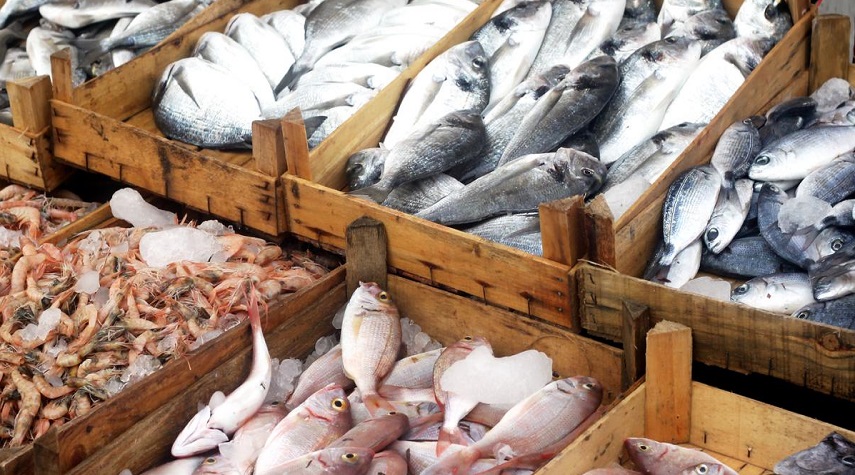الصحة تحذر من شراء الأسماك من مصادر غير موثوقة