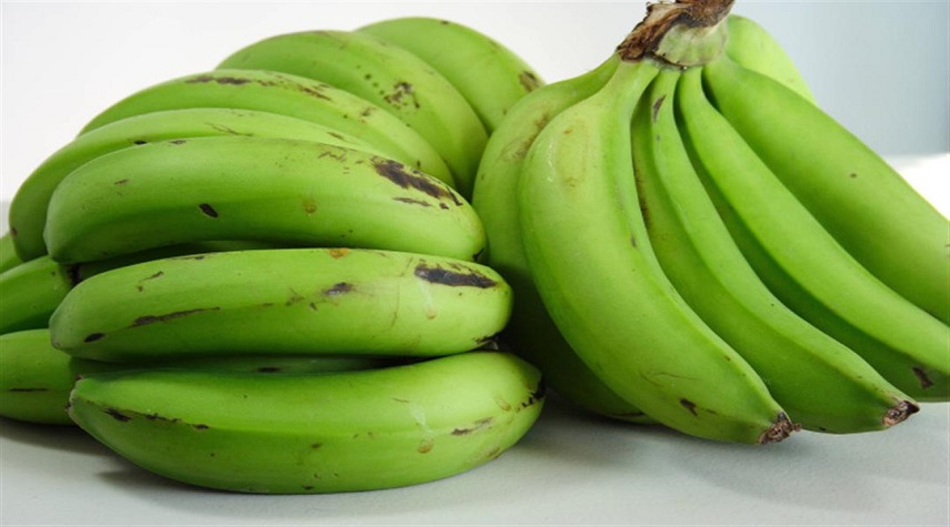 دراسة صادمة حول تناول الموز الأخضر الغير ناضج