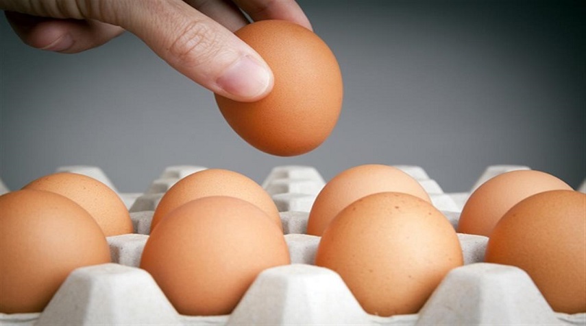 غرفة زراعة دمشق: 454 ليرة تكلفة إنتاج البيضة الواحدة