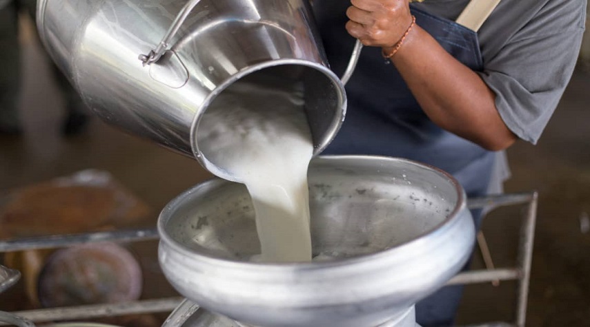  الجمعية الحرفية لصناعة الألبان والأجبان: سعر كيلو الحليب يرتفع أسبوعياً بمعدل 100ليرة