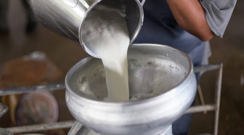 كيلو الحليب يرتفع بمعدل 100 ليرة أسبوعياً