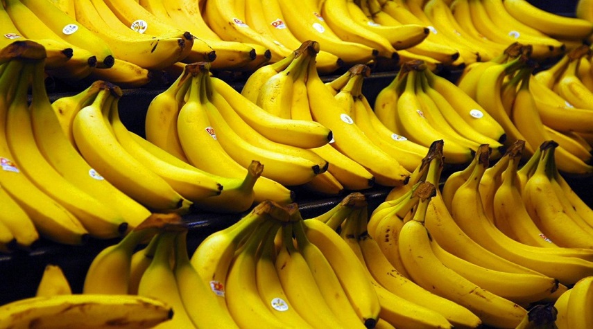 لجنة الخضراوات والفواكه: الموز المتواجد في الأسواق "مهرب" 