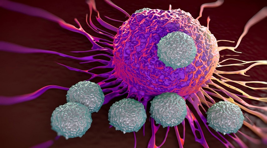 عقار جديد يساهم بوقف نمو الخلايا السرطانية في الجسد