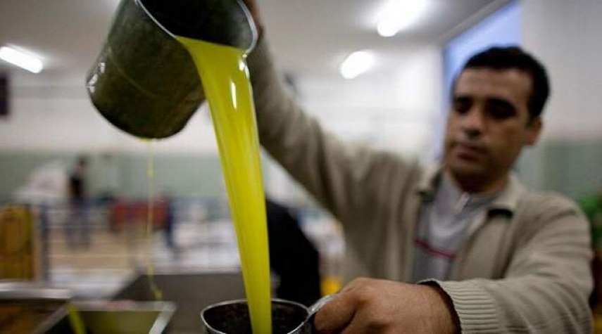 توقيع عقود لتصدير زيت الزيتون السوري إلى إيران