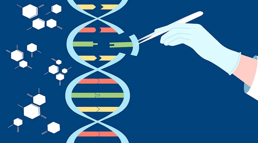 تعديل القواعد الوراثية المفردة.. تقنية جديدة تبشر بثورة في الأبحاث البيولوجية والطبية