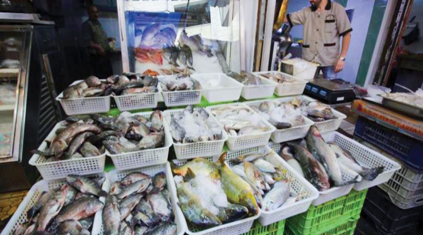 نقيب الصيادين: تراجع الحركة في سوق السمك خلال شهر رمضان المبارك