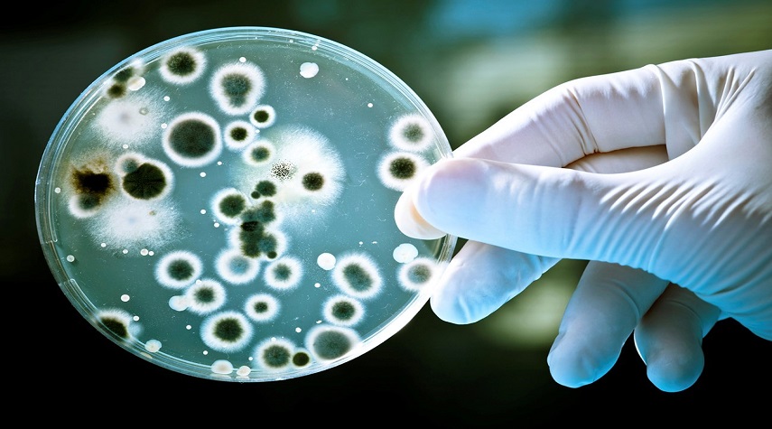 اكتشاف بكتيريا مقاومة للمضادات الحيوية في الغيوم
