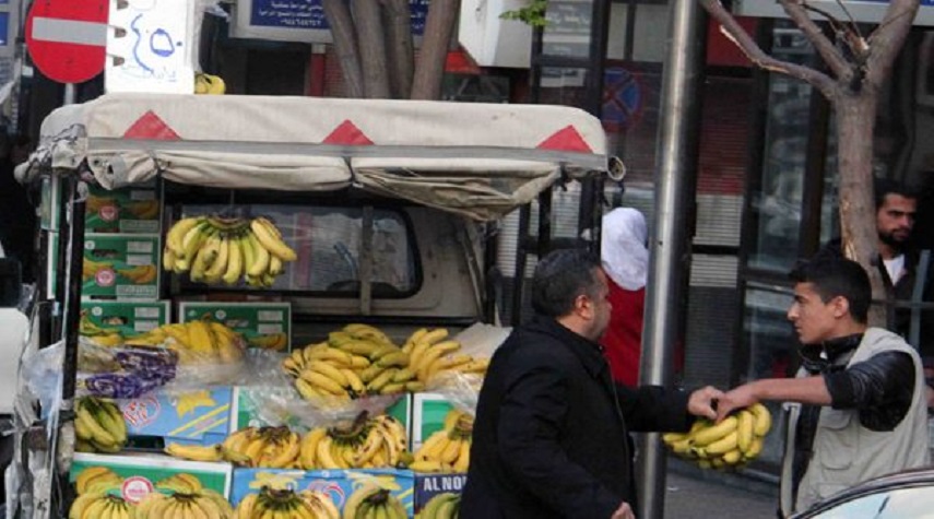عضو في لجنة التصدير يوضح أسباب ارتفاع أسعار الموز في الأسواق