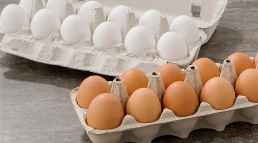 هل البيض البني صحي أكثر من الأبيض؟