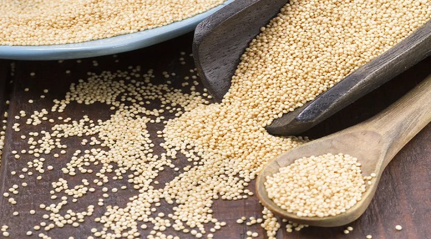 بديل صحي للأرز.. 5 فوائد لحبوب نبات القطيفة
