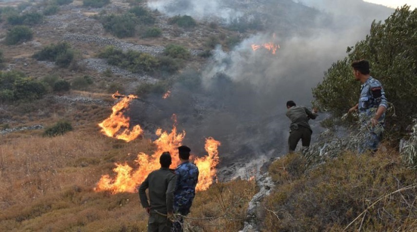 تحذيرات من مديرية الزراعة في اللاذقية بارتفاع مؤشر خطورة الحرائق