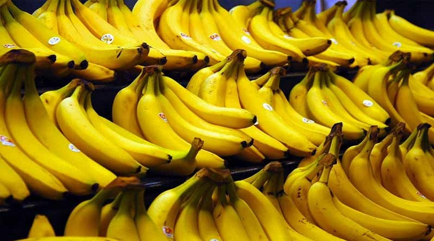السماح باستيراد 30 ألف طن من الموز اللبناني