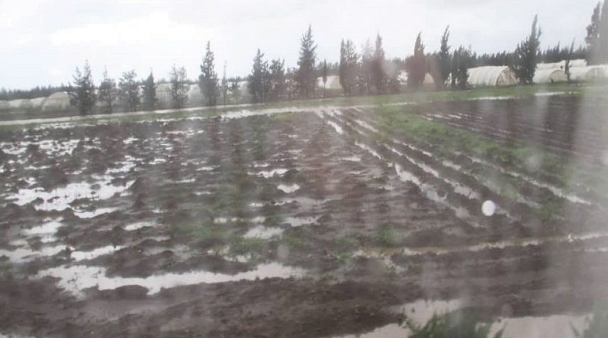 معاون وزير الزراعة: تعويض الفلاحين المتضررين من الفيضانات سيتم بأسرع وقت