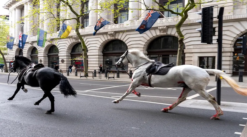 خيول الجيش البريطاني تُحدث بلبلة وإصابات في شوارع لندن