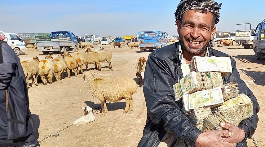 برقم فلكي.. بيع "كبش" في سوق المواشي بمحافظة الرقة
