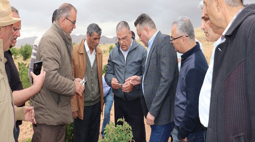 استصلاح 500 دونم في مشروع التوسع بزراعة الوردة الشامية بريف دمشق