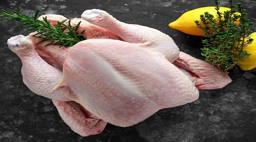 الطلب سيزداد على الدجاج.. و700 طن سيتم طرحه في الأسواق قبل عيد الأضحى