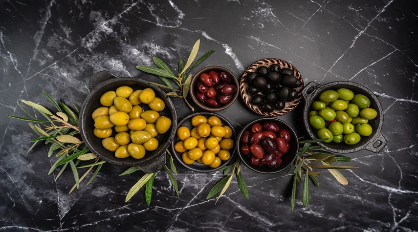 دراسة إسبانية تكشف فوائد الزيتون في حماية الدماغ وتحسين الذاكرة