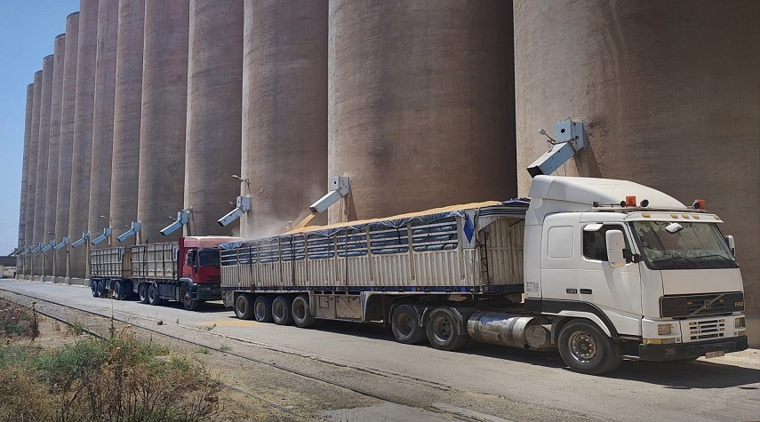 المؤسسة السورية للحبوب: وصول أكثر من 134 ألف طن قمح إلى مرفأي طرطوس واللاذقية